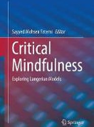 Critical Mindfulness