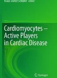 Cardiomyocytes - Active Players in Cardiac Disease