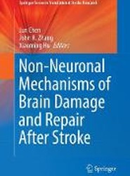 Non-Neuronal Mechanisms of Brain Damage and Repair After Stroke