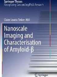 Nanoscale Imaging and Characterisation of Amyloid-