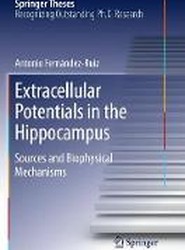 Extracellular Potentials in the Hippocampus