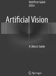 Artificial Vision