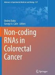 Non-coding RNAs in Colorectal Cancer