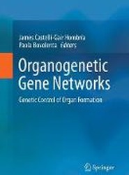 Organogenetic Gene Networks