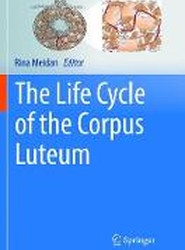 The Life Cycle of the Corpus Luteum