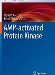 AMP-activated Protein Kinase