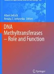 DNA Methyltransferases - Role and Function