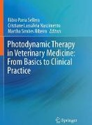 Photodynamic Therapy in Veterinary Medicine: From Basics to Clinical Practice