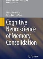 Cognitive Neuroscience of Memory Consolidation