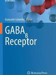 GABAB Receptor