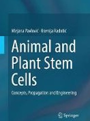 Animal and Plant Stem Cells