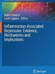 Inflammation-Associated Depression: Evidence, Mechanisms and Implications