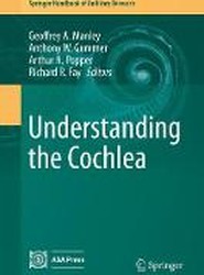 Understanding the Cochlea