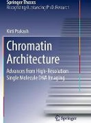 Chromatin Architecture