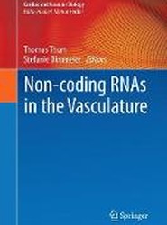 Non-coding RNAs in the Vasculature