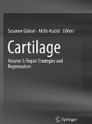 Cartilage