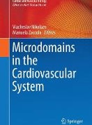 Microdomains in the Cardiovascular System