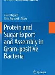 Protein and Sugar Export and Assembly in Gram-positive Bacteria