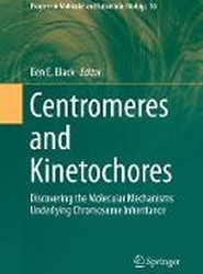 Centromeres and Kinetochores