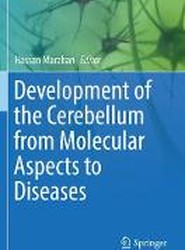 Development of the Cerebellum from Molecular Aspects to Diseases