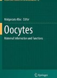 Oocytes