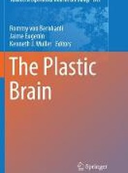 The Plastic Brain