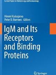 IgM and Its Receptors and Binding Proteins