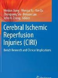Cerebral Ischemic Reperfusion Injuries (CIRI)