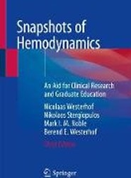 Snapshots of Hemodynamics