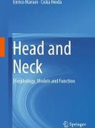Head and Neck