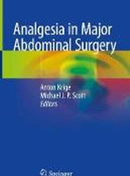 Analgesia in Major Abdominal Surgery