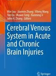 Cerebral Venous System in Acute and Chronic Brain Injuries