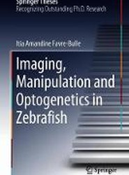 Imaging, Manipulation and Optogenetics in Zebrafish