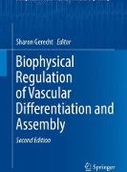 Biophysical Regulation of Vascular Differentiation and Assembly