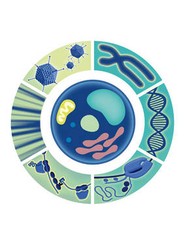 Encyclopedia of Molecular Cell Biology and Molecular Medicine