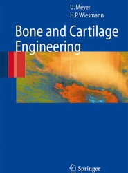 Bone and Cartilage Engineering