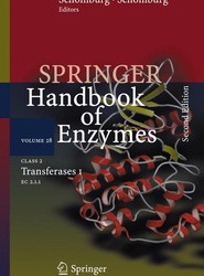 Class 2 Transferases I