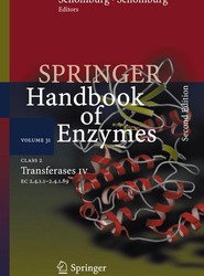 Class 2 Transferases IV