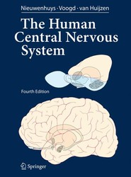 The Human Central Nervous System