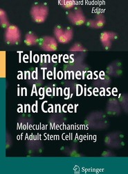 Telomeres and Telomerase in Aging, Disease, and Cancer