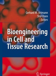 Bioengineering in Cell and Tissue Research
