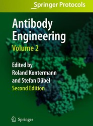 Antibody Engineering Volume 2