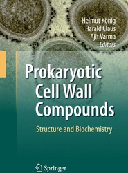 Prokaryotic Cell Wall Compounds