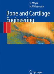 Bone and Cartilage Engineering