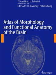 Atlas of Morphology and Functional Anatomy of the Brain