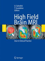 High Field Brain MRI
