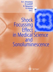 Shock Focussing Effect in Medical Science and Sonoluminescence