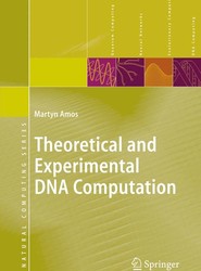 Theoretical and Experimental DNA Computation