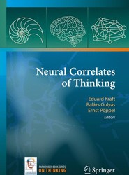 Neural Correlates of Thinking
