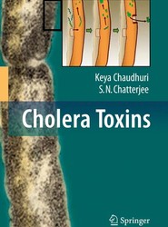 Cholera Toxins